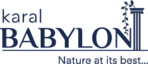 logo2